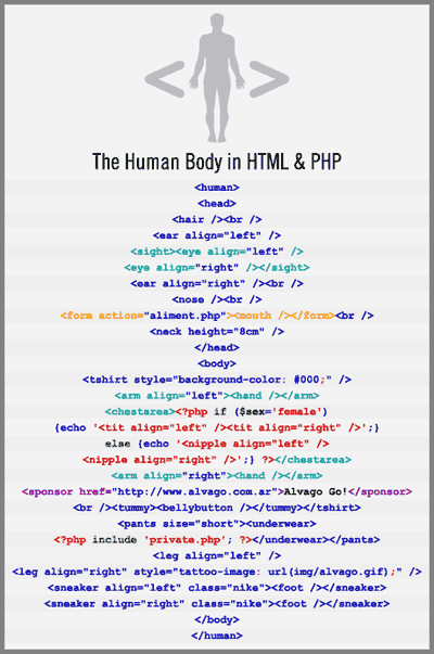 El Cuerpo Humano